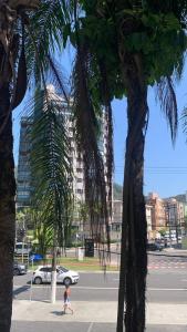 a little girl walking down a street next to a palm tree at Apto amplo próximo Casa Grande Hotel Resort in Guarujá