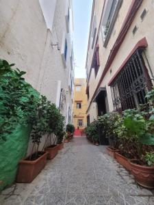 an alley with potted plants on the side of a building at Dar Dahbia in Asilah