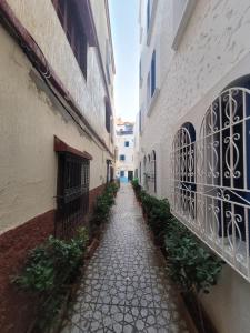 an alley way between two buildings with plants at Dar Dahbia in Asilah