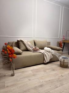 Posezení v ubytování Serenity Oasis 3