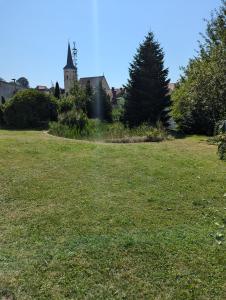 a field of grass with a building in the background at Ferienwohnung Sperber in Windischeschenbach
