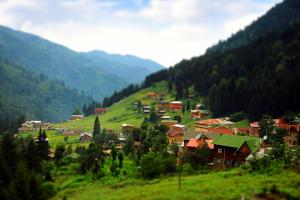 mała wioska na wzgórzu w dolinie w obiekcie Aydin Apart w mieście Trabzon