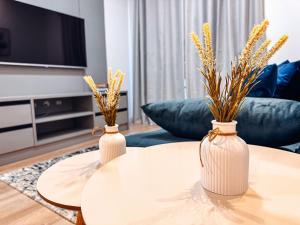 Afbeelding uit fotogalerij van 305 On rafael in Limeiro +15 foto's