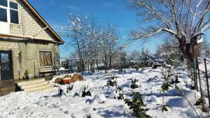 Gallery image of Rancho Sancho Pancho in Kutaisi