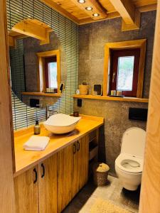 a bathroom with a sink and a toilet at Dobra Wola Dobra Chata - domek z balią w naturze in Dobra Wola