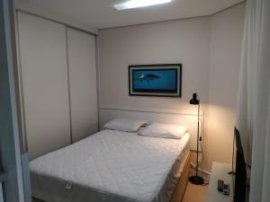 a bedroom with a bed and a picture on the wall at Estanconfor Praia Santos AC garagem sacada fechada in Santos +13 photos