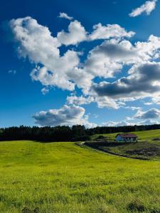 a field of green grass with a sky with clouds at Dobra Wola Dobra Chata - domek z balią w naturze in Dobra Wola +26 photos