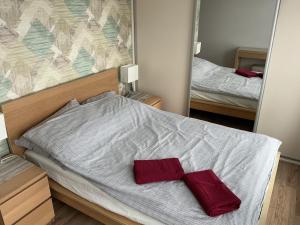 a bed with two red pillows in front of a mirror at Apartament Wygodny 2 in Białystok