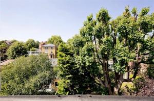a large tree in front of some buildings at Luxury modern 1 bed between Hampstead and Camden in London