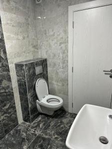 a bathroom with a toilet and a sink at LUX APARTMENS GLIGA Lux 14 in Sombor