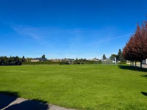 a large green field with a soccer ball at Maple & Moon in Richmond
