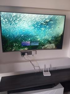 TV a/nebo společenská místnost v ubytování 1BR apartment next to the Junction Mall, Lavington