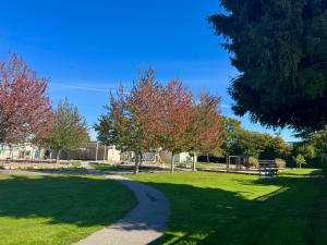 a path in a park with trees in the grass at Maple & Moon in Richmond +3 photos
