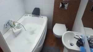Kúpeľňa v ubytovaní Spa Apartamenty Lidzbark