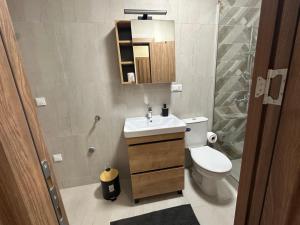 a bathroom with a toilet and a sink and a shower at Glio Luxury Apartment in Skopje +8 photos