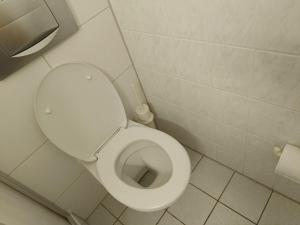 a bathroom with a toilet with the lid up at Einzelzimmer für Frauen Female Single room in Leipzig +2 photos