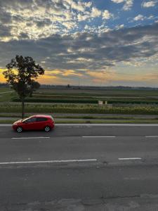 a red car driving down a road with a tree at Frankenthal in Bobenheim-Roxheim