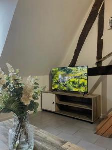 a living room with a television and a vase of flowers at Alsace in Beauvais