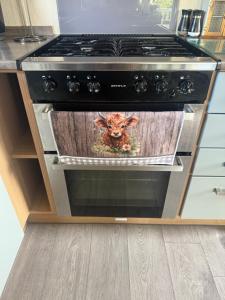a picture of a toy animal in an oven at Prestige Static Caravan on 5 Star Holiday Park in Cheswick