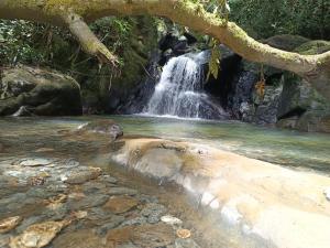a waterfall in the middle of a river at Glamping Arvi in Copacabana +2 photos