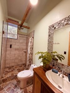 a bathroom with a toilet and a sink and a shower at Villas MAMALU in Cocles