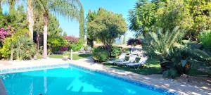 Una piscina en un patio con sillas y árboles. en Latchi coast villa-resort, en Lachi 7 fotos más