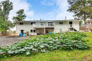 a house with a large field of plants in front of it at 9 Mi to Downtown Atlanta Home with Deck and Yard! in Tolliver Heights