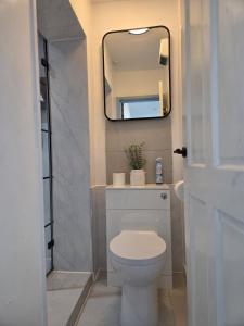 a bathroom with a white toilet and a mirror at Cozy 1 Bed Retreat - Amlwch in Amlwch