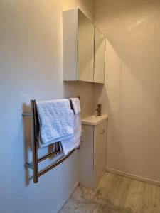 y baño con toallero eléctrico y lavamanos. en Grey Lynn Studio with Sauna, en Auckland