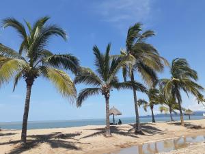 a group of palm trees on a sandy beach at "Le Petit Oasis" Pool, AC and Beach 1 minute away in La Peñita de Jaltemba