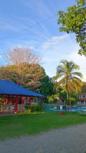 Taman di luar Hotel flamingo real T
