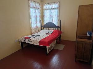 a bedroom with a bed with a red blanket and two windows at BTC Apartments in Saint Georgeʼs