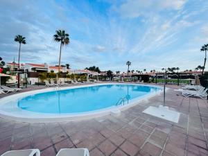 a large swimming pool with chairs and palm trees at Bungalow Maspalomas, Jacuzzi in Maspalomas