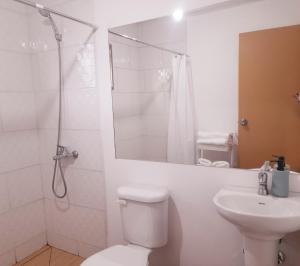 un bagno con wc, doccia e lavandino di Vaitahi Lodge a Isla de Pascua Altre 8 foto