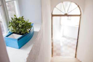 Fotografie z fotogalerie ubytování Apartment Barone v Šibeniku