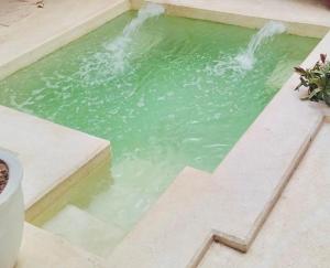 a small pool of green water with a waterfall at Baytulkher in Lamu