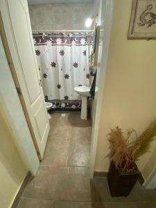 a bathroom with a sink and a shower curtain at Casita in general Pacheco in General Pacheco +18 photos