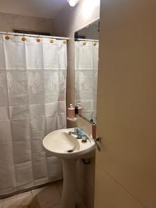 ein Badezimmer mit Waschbecken und Duschvorhang in der Unterkunft Casa Barrio Los Sauces in Chascomús + 9 Fotos