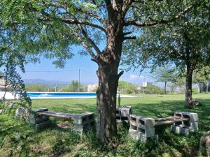 a park with benches under a tree next to a pool at cabaña Mirador in Bialet Massé