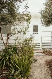 a white house with a white fence and plants at Salt Cottage in Port Fairy