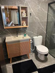 ein Badezimmer mit Toilette, Waschbecken und Spiegel in der Unterkunft Casa das Palmeiras in Orleans