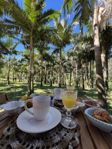 ein Tisch mit Essen und Getränken auf einem Tisch mit Palmen in der Unterkunft Casa das Palmeiras in Orleans