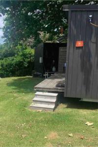 a house with a deck with a dog sitting on it at Tuia Retreat in Whangaparaoa +3 photos