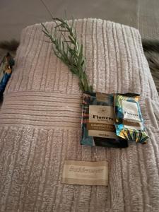 a bed with a blanket with a packet of cigarettes and a plant at CABANA SERRA DA BALANÇA in Gonçalves