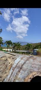 a dirt road with palm trees and the ocean at Bed & Shower Stop in East End +8 photos