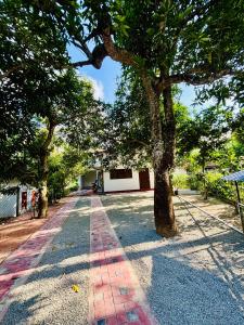 Příroda nedaleko penzionu