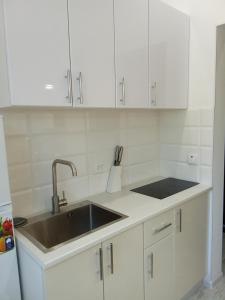 a kitchen with a sink and white cabinets at Ботанічний Сад in Kharkiv