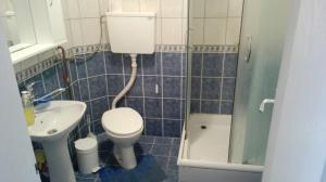 Ένα μπάνιο στο Guest House Trajkovic Jagodina