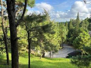 a road in a park with trees and a tent at Crosswinds Swiss Studio Double Suite in Ulot +16 photos