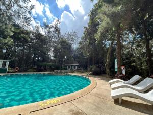 - une piscine avec 2 chaises blanches et des arbres dans l'établissement Crosswinds Resort Studio Double Suite, à Ulot